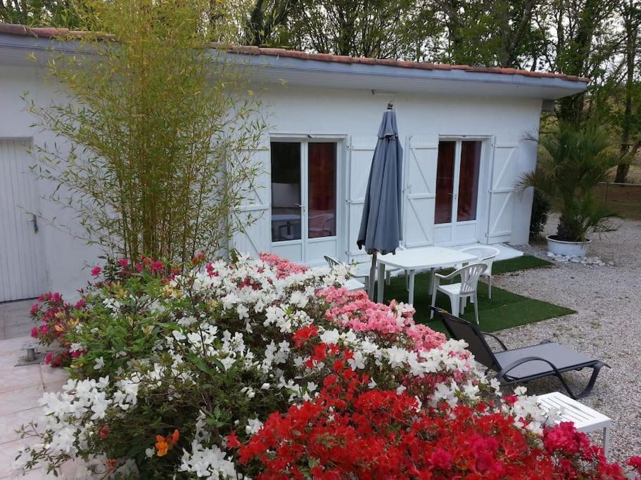 Chalet A Louer Pres De Dax Mees Bagian luar foto